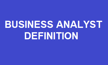 Business Analyst Definition