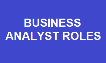Business Analyst Roles