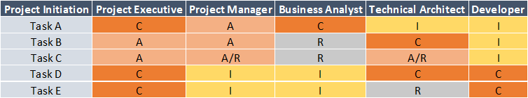 RACI Matrix